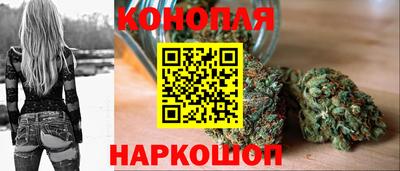 СК Будённовск