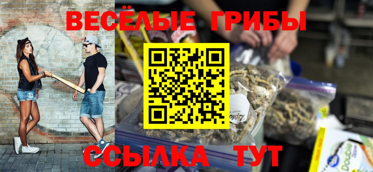 Галлюциногенные грибы Psilocybine cubensis Сегежа