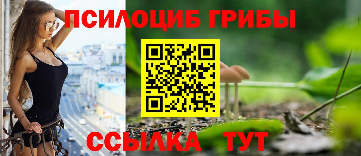 Сегежа  Псилоцибиновые грибы прущие грибы  Вход с VPN 